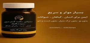 سم سوسک ریز| سم قوی سوسک ریز آشپزخانه